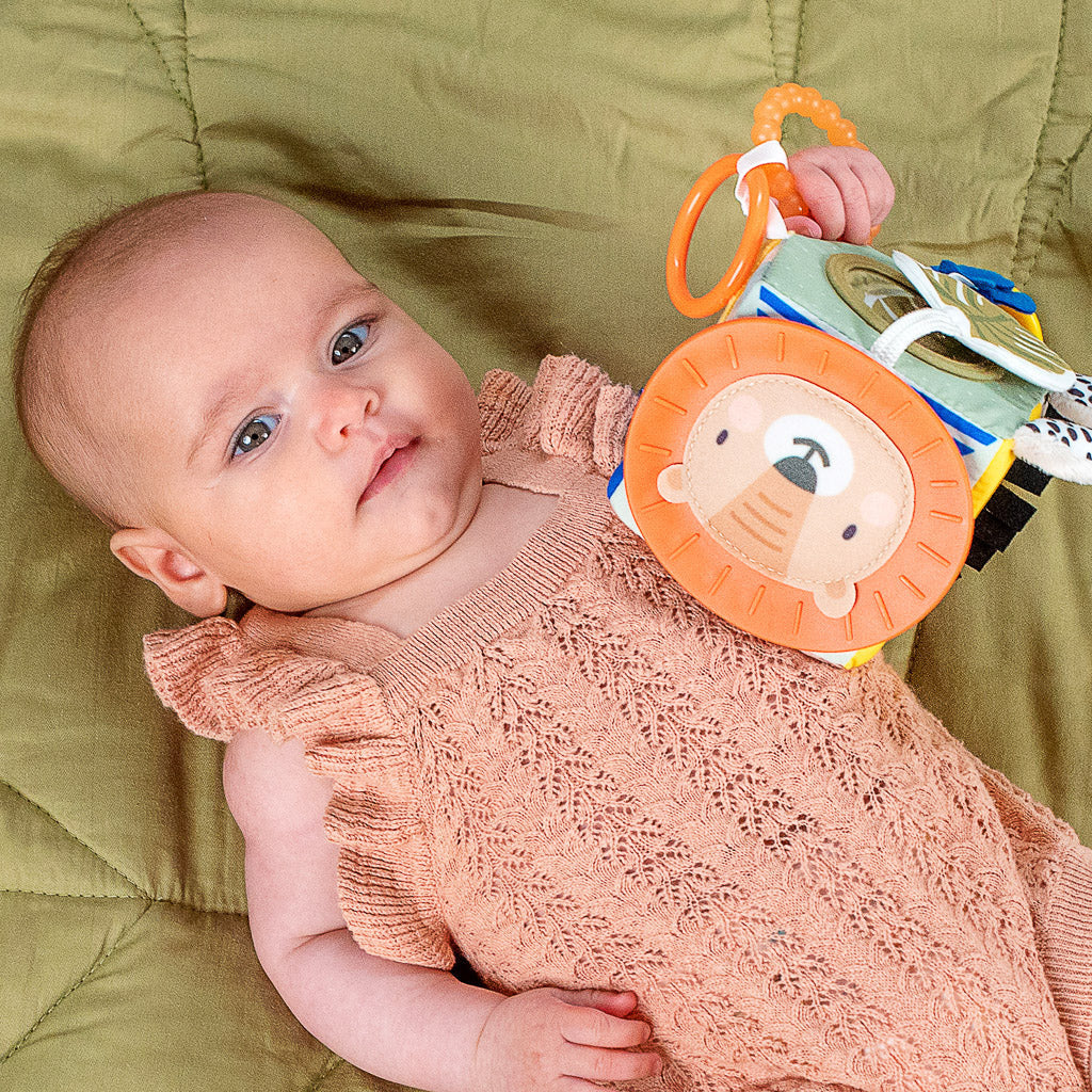 Taf Toys Savannah Discovery Cube - Easier Development