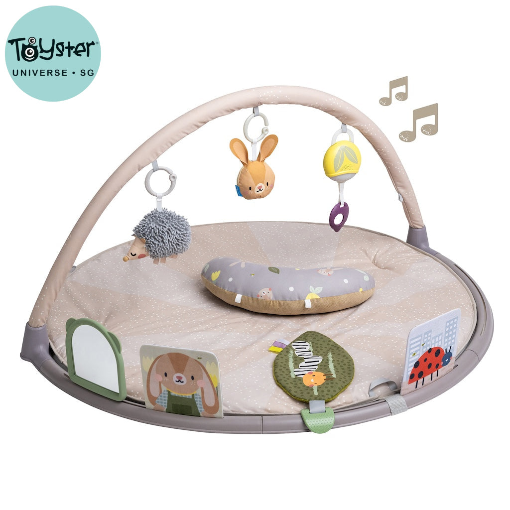Taf Toys Tummy-Time Activity Play Gym - Easier Development