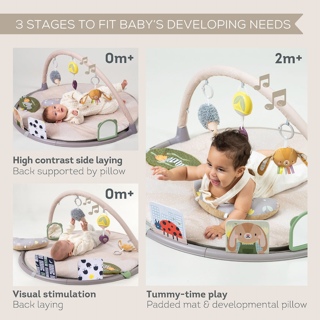 Taf Toys Tummy-Time Activity Play Gym - Easier Development