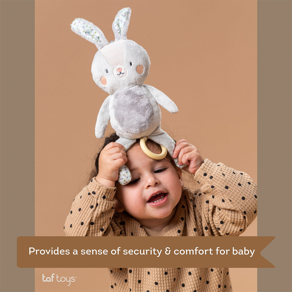 Taf Toys Urban Garden Rylee Musical Bunny - Easier Sleep