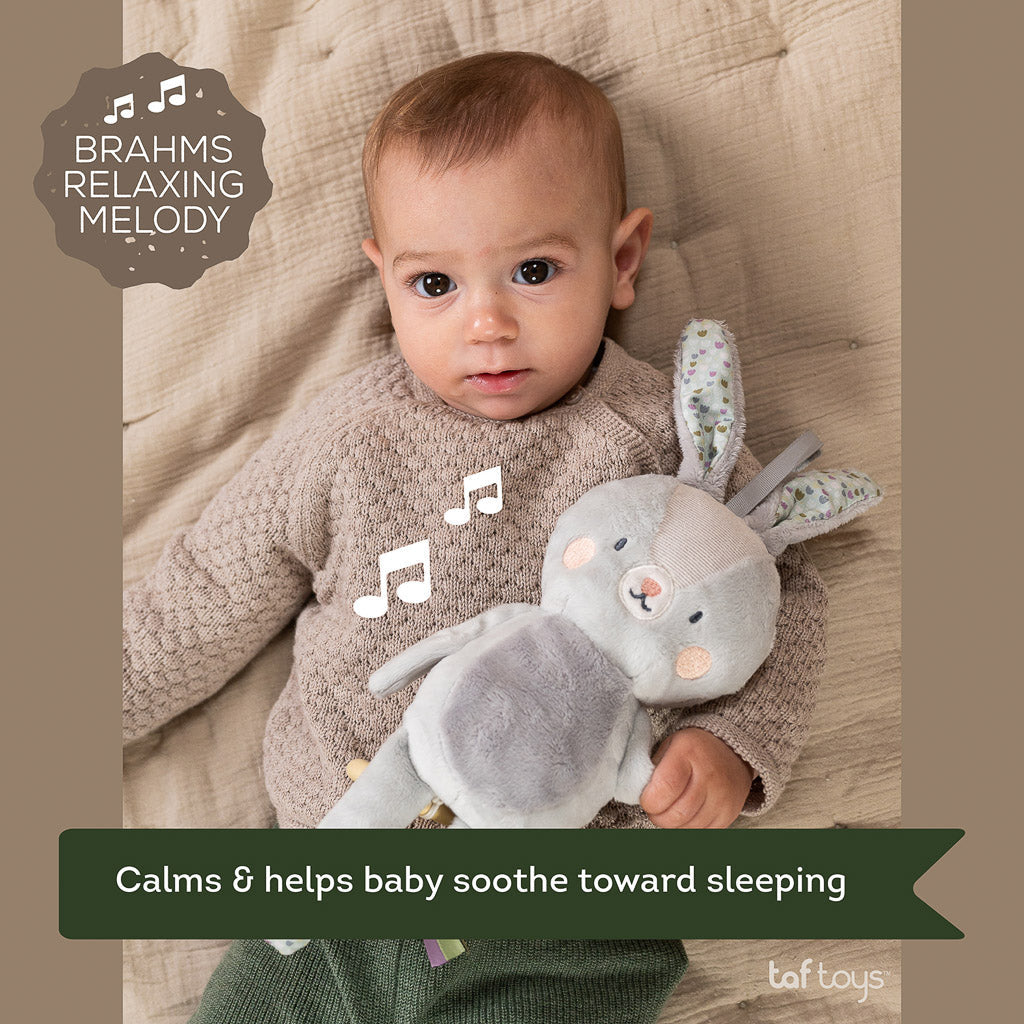 Taf Toys Urban Garden Rylee Musical Bunny - Easier Sleep