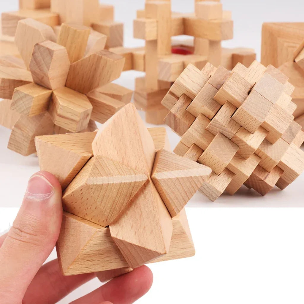 Wooden Lock Iq Brain Teaser Educational Toy