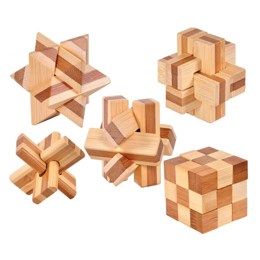 Wooden Lock Iq Brain Teaser Educational Toy