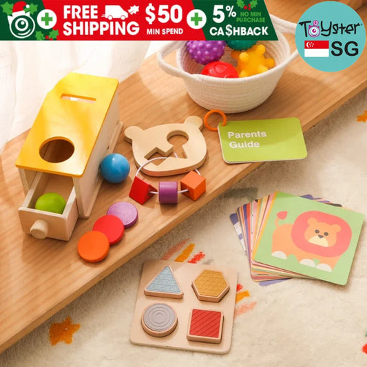 Wooden Montessori Sensory Toys