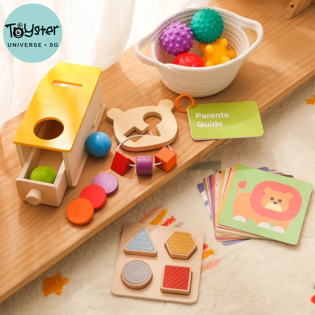 Wooden Montessori Sensory Toys