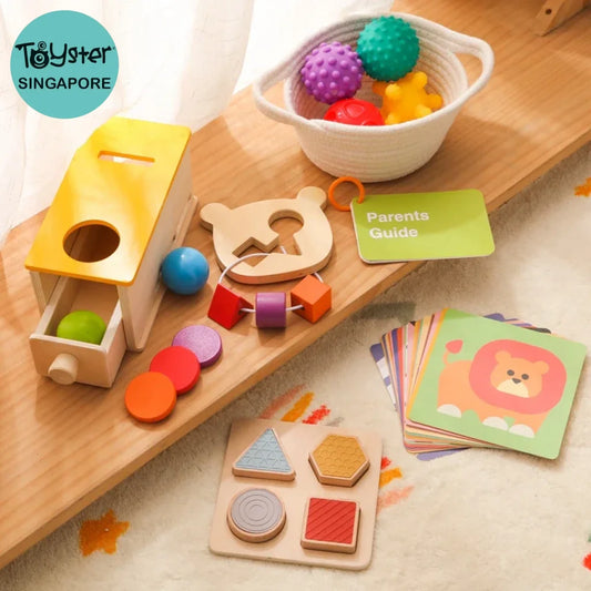 Wooden Montessori Sensory Toys