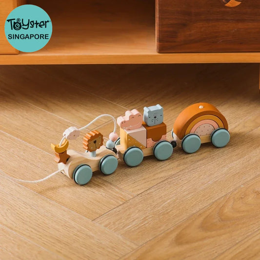 Wooden Rainbow Train