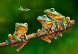 Castorland The Frog Companions 500 Piece Jigsaw Puzzle