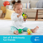 Fisher-Price Infant Foodimals Gift Set