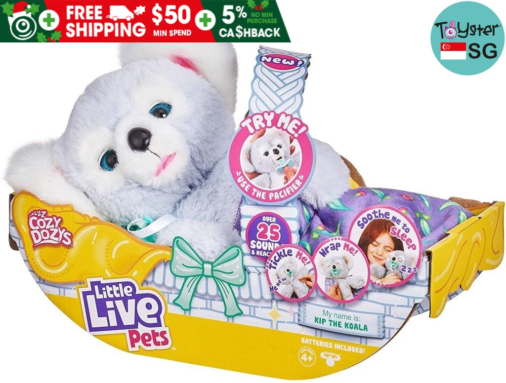 Little live outlet pets koala